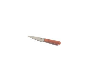 Precise Paring Knife in Spice View 1